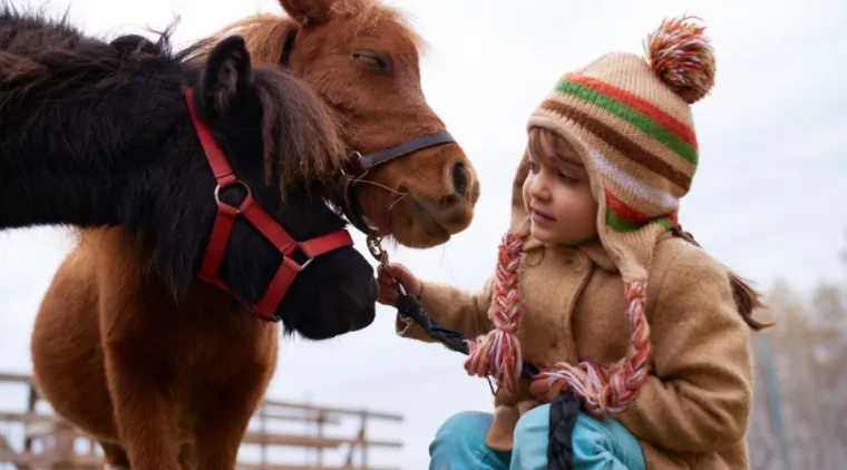 Atelier bébé signe à Lille Santes Signes des animaux